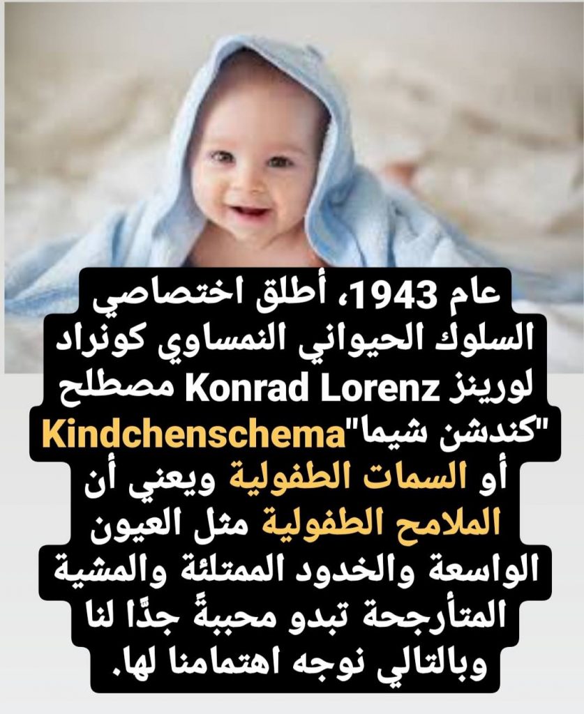 تعلم اللغة الألمانية، تعلم الألمانية بسهولة