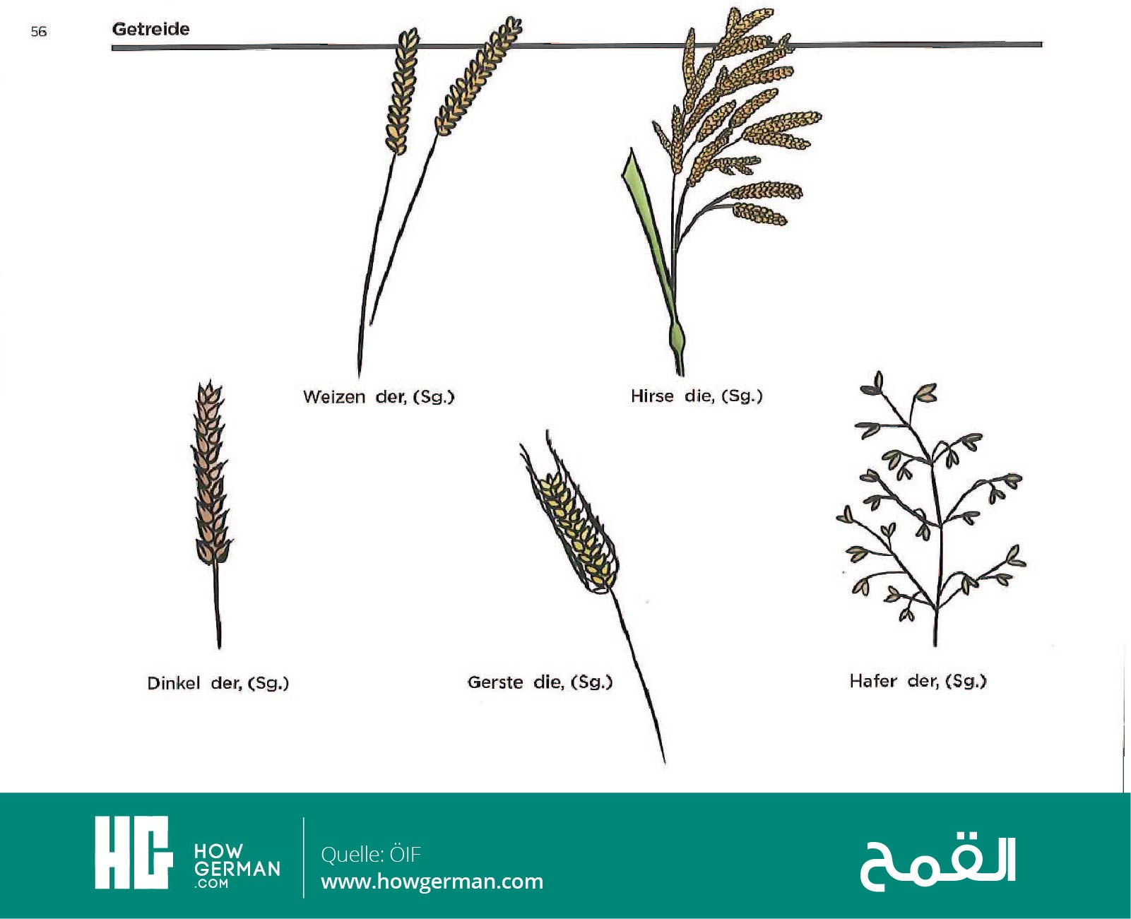 تعلم الألمانية بالصور وبسهولة